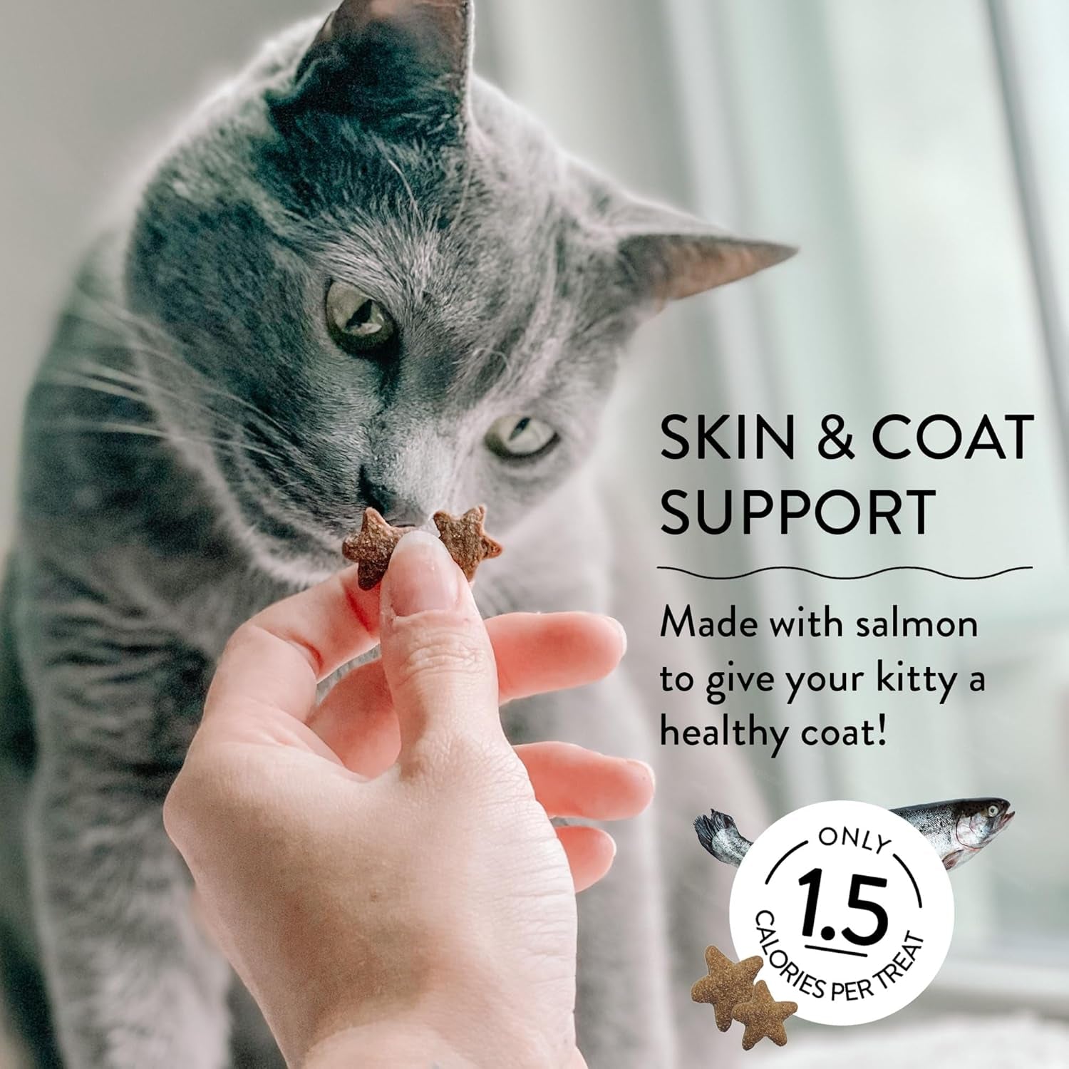 Skin & Coat Support Yam Good Salmon Crunchy Cat Treats