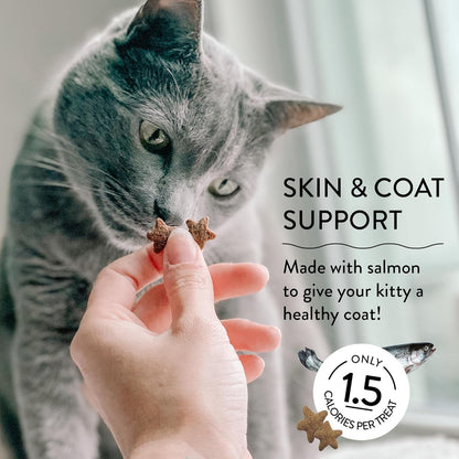 Skin & Coat Support Yam Good Salmon Crunchy Cat Treats