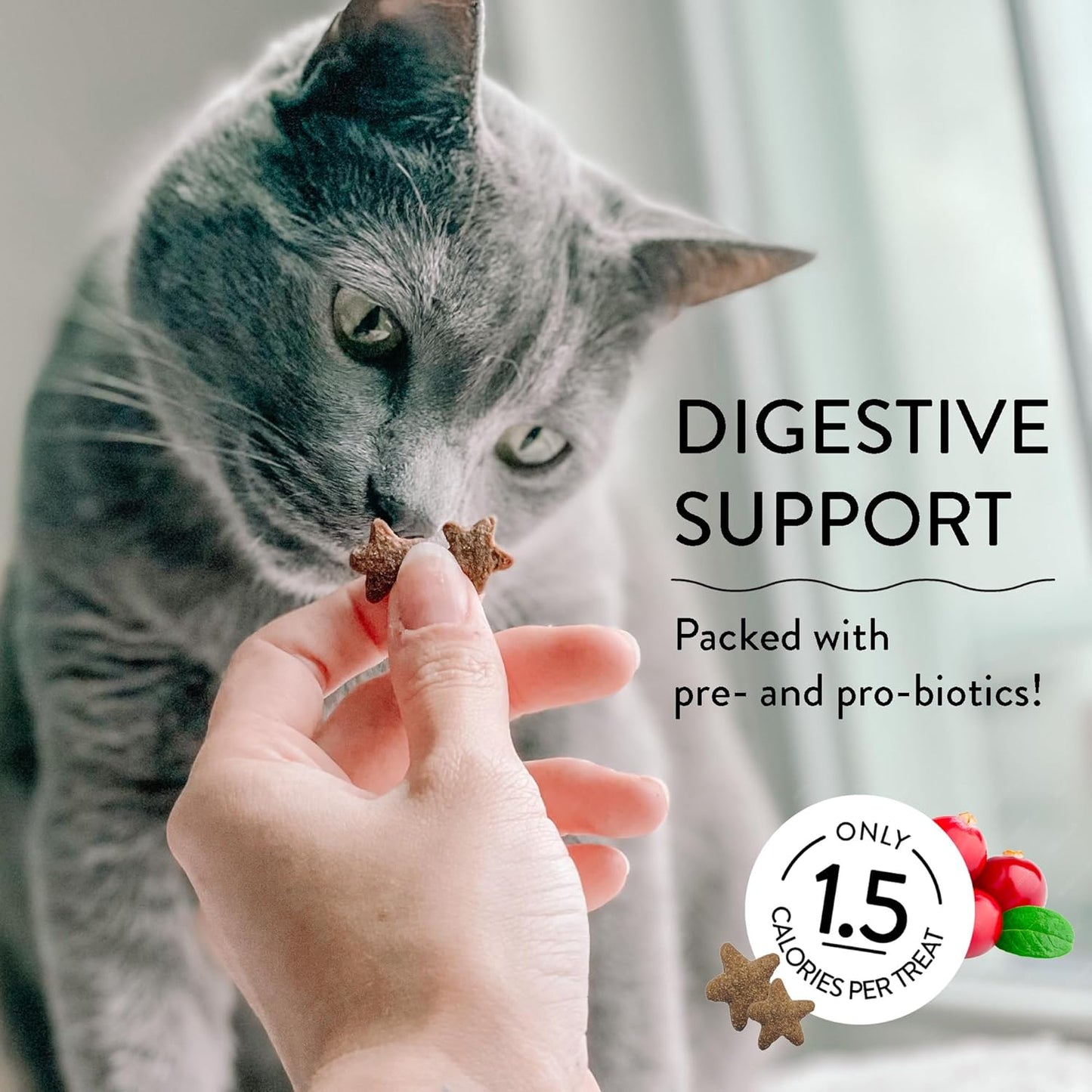 Digestive Support  Cran You Say Chicken Crunchy Cat Treats