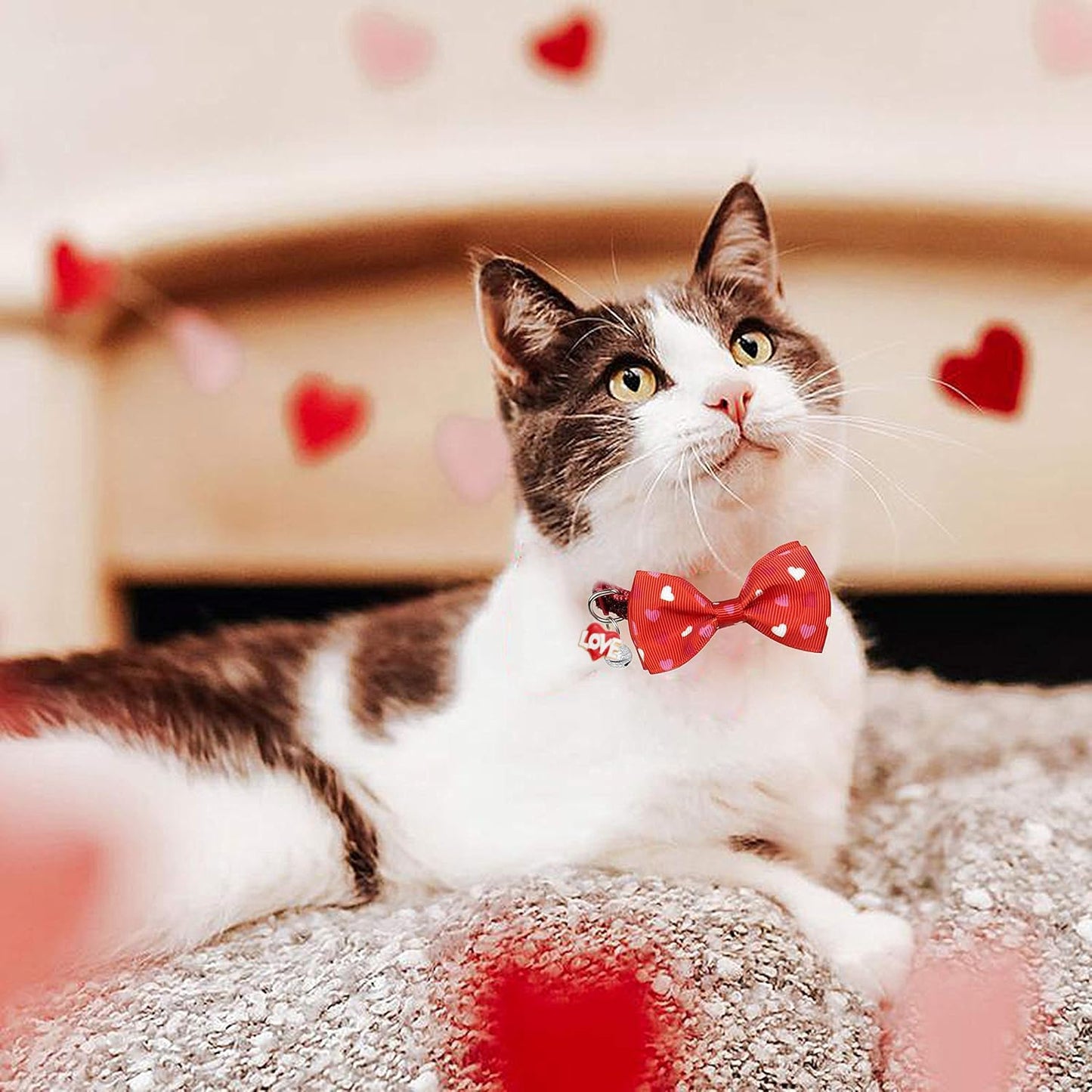 Valentine's Day Cat Collar with Bow Tie Bell & Charms Breakaway Heart Design Collar for Male and Female Cats