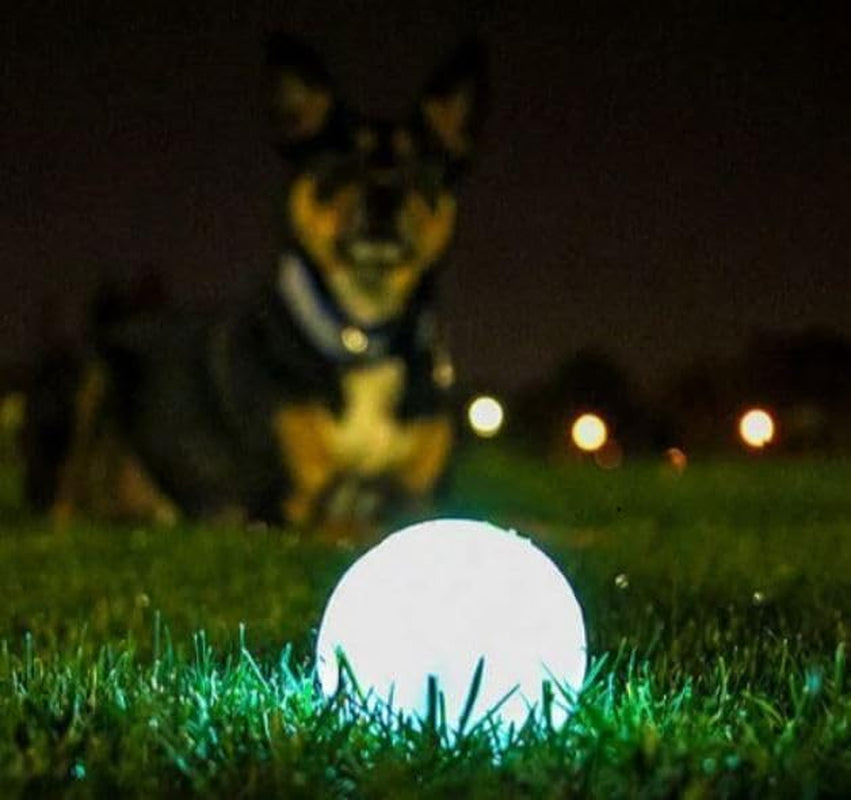 Max Glow Ball Dog Toy, Large (3 Inch Diameter) for Dogs 6-100 Lbs, Pack of 1