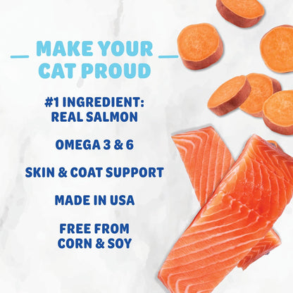 Skin & Coat Support Yam Good Salmon Crunchy Cat Treats